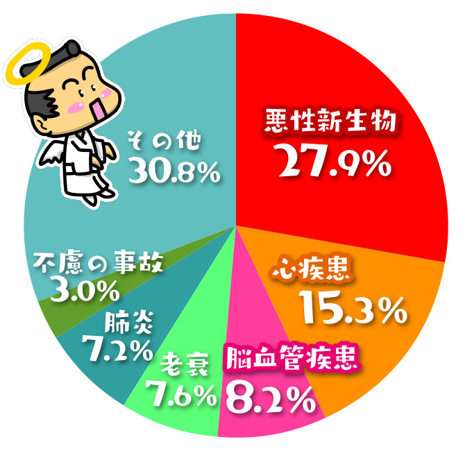 平成29年死因円グラフ